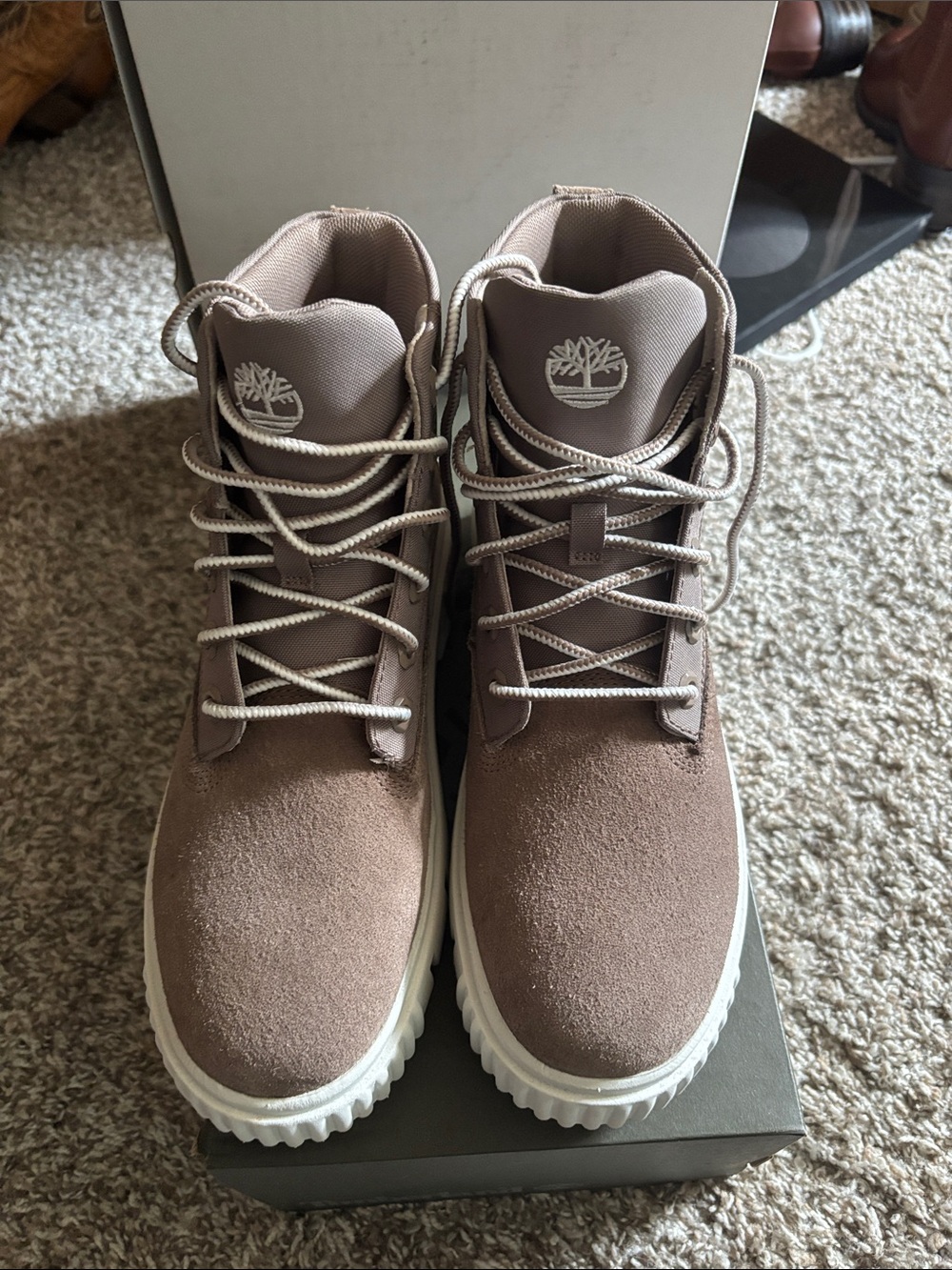 Brand New in box Timberland Womens Greyfield/Taupe Suede Lace-Up Casual Boots.